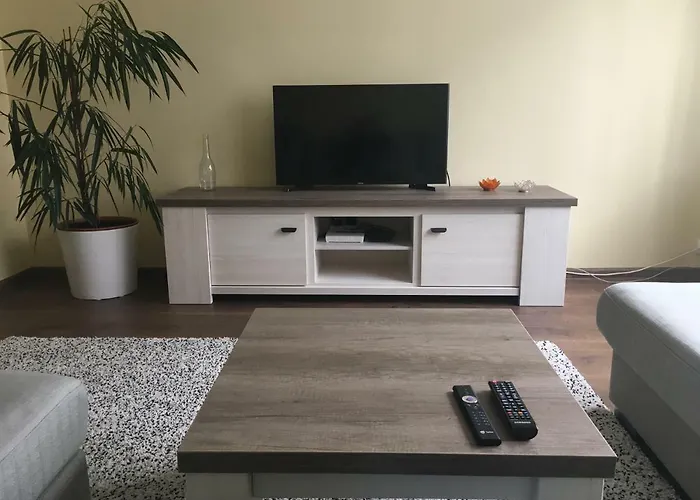 Liivalaia Apartment